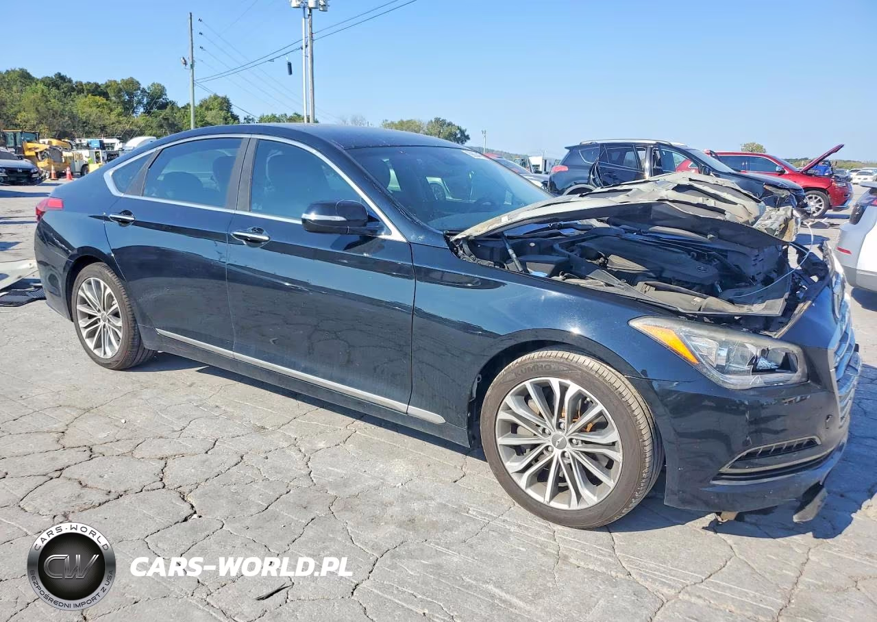 2016 Hyundai Genesis 3.8L VIN:KMHGN4JE8GU138563 - 4