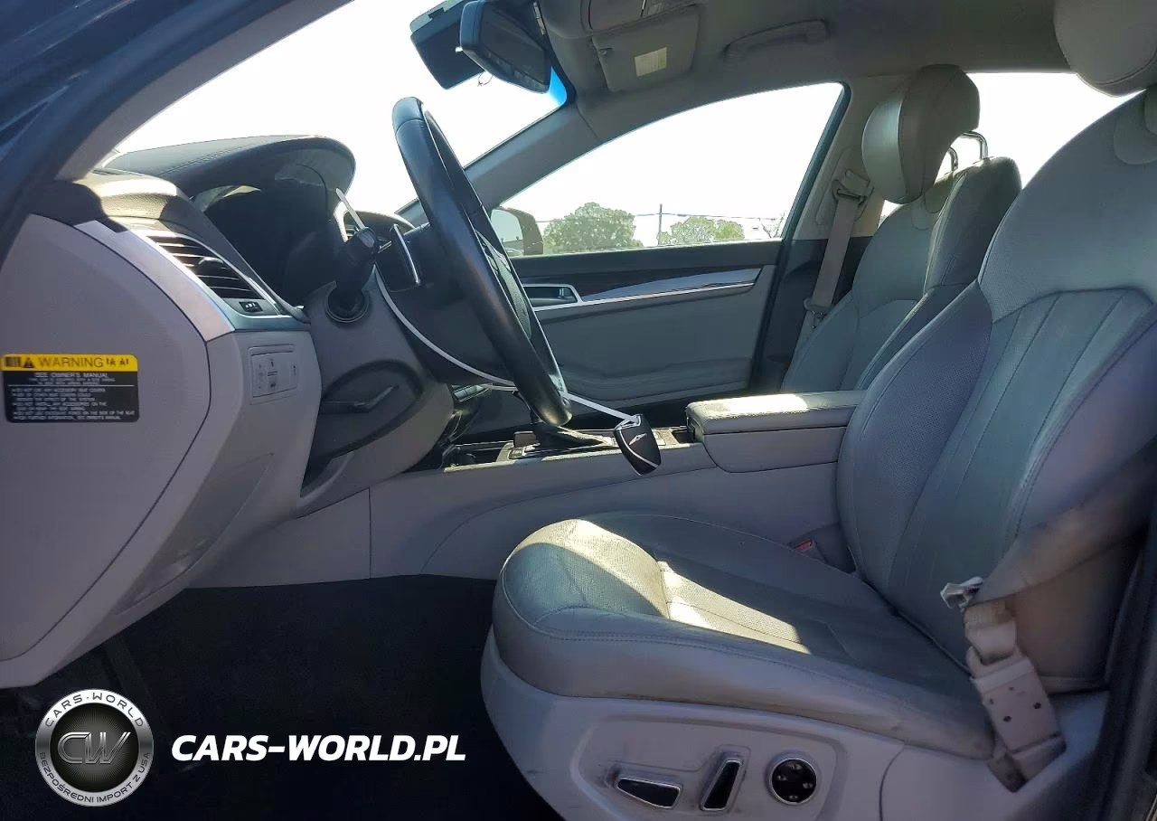 2016 Hyundai Genesis 3.8L VIN:KMHGN4JE8GU138563 - 7