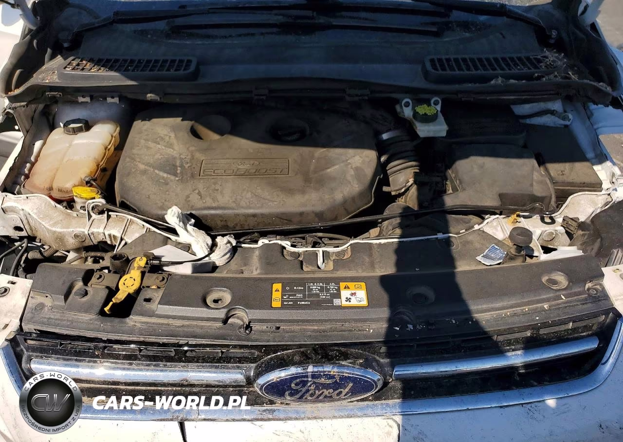 2013 Ford Escape Sel VIN:1FMCU0H90DUB83981 - 12