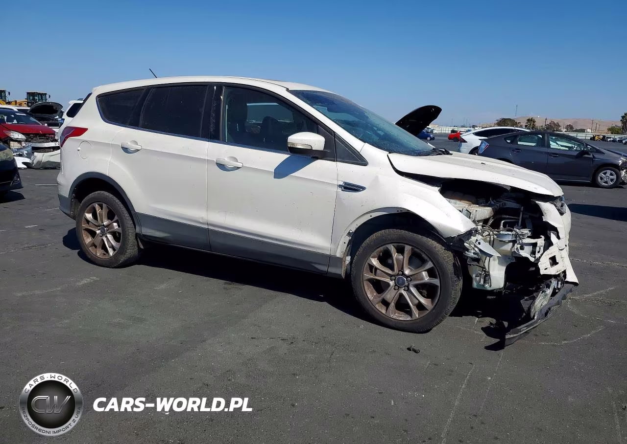 2013 Ford Escape Sel VIN:1FMCU0H90DUB83981 - 4