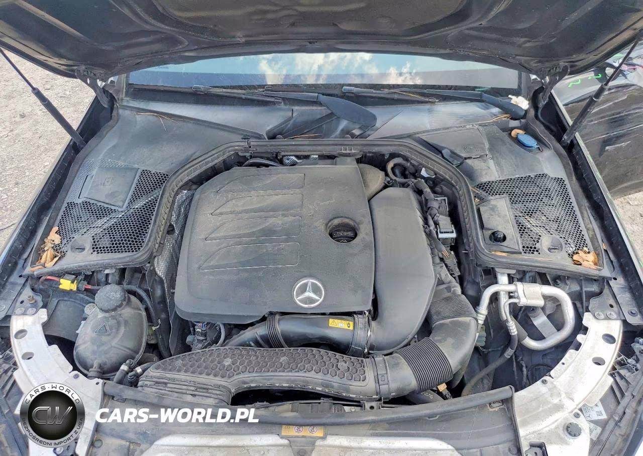 2019 Mercedes-Benz C 300 VIN:55SWF8DB5KU288071 - 11