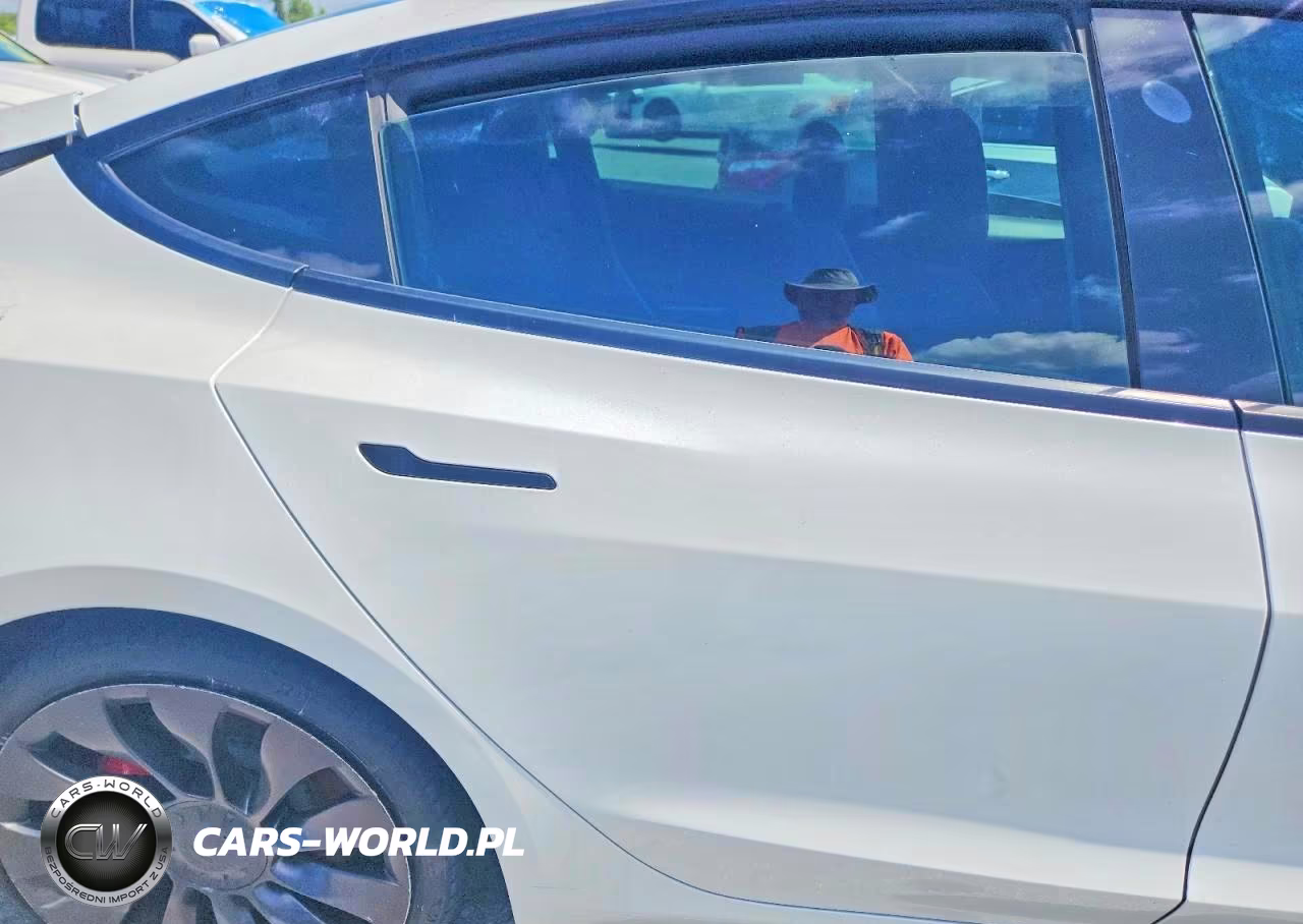 2021 Tesla Model 3 VIN:5YJ3E1ECXMF088456 - 10