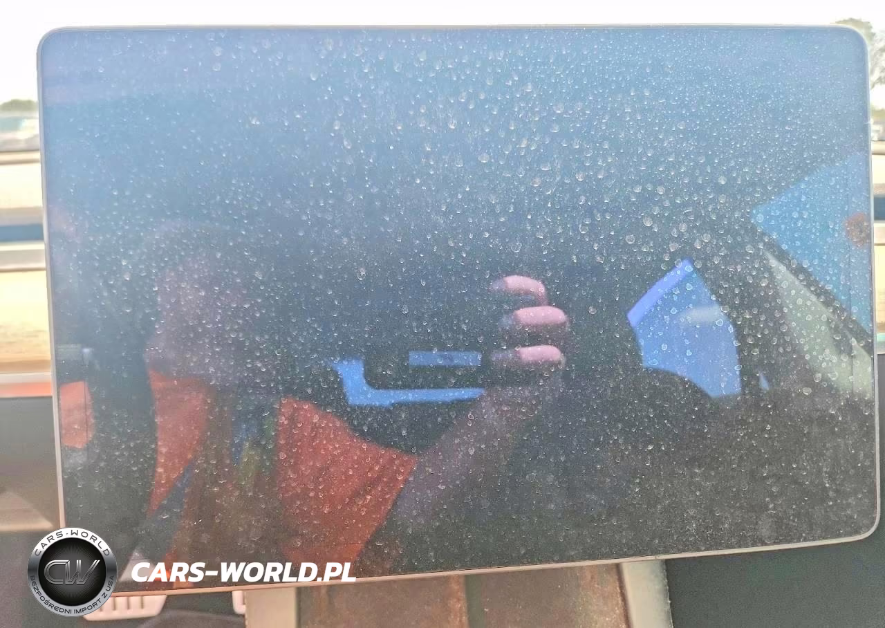 2021 Tesla Model 3 VIN:5YJ3E1ECXMF088456 - 9