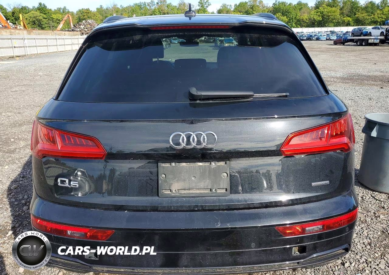 2020 Audi Q5 Titanium Premium Plus VIN:WA1ENAFY1L2094192 - 6