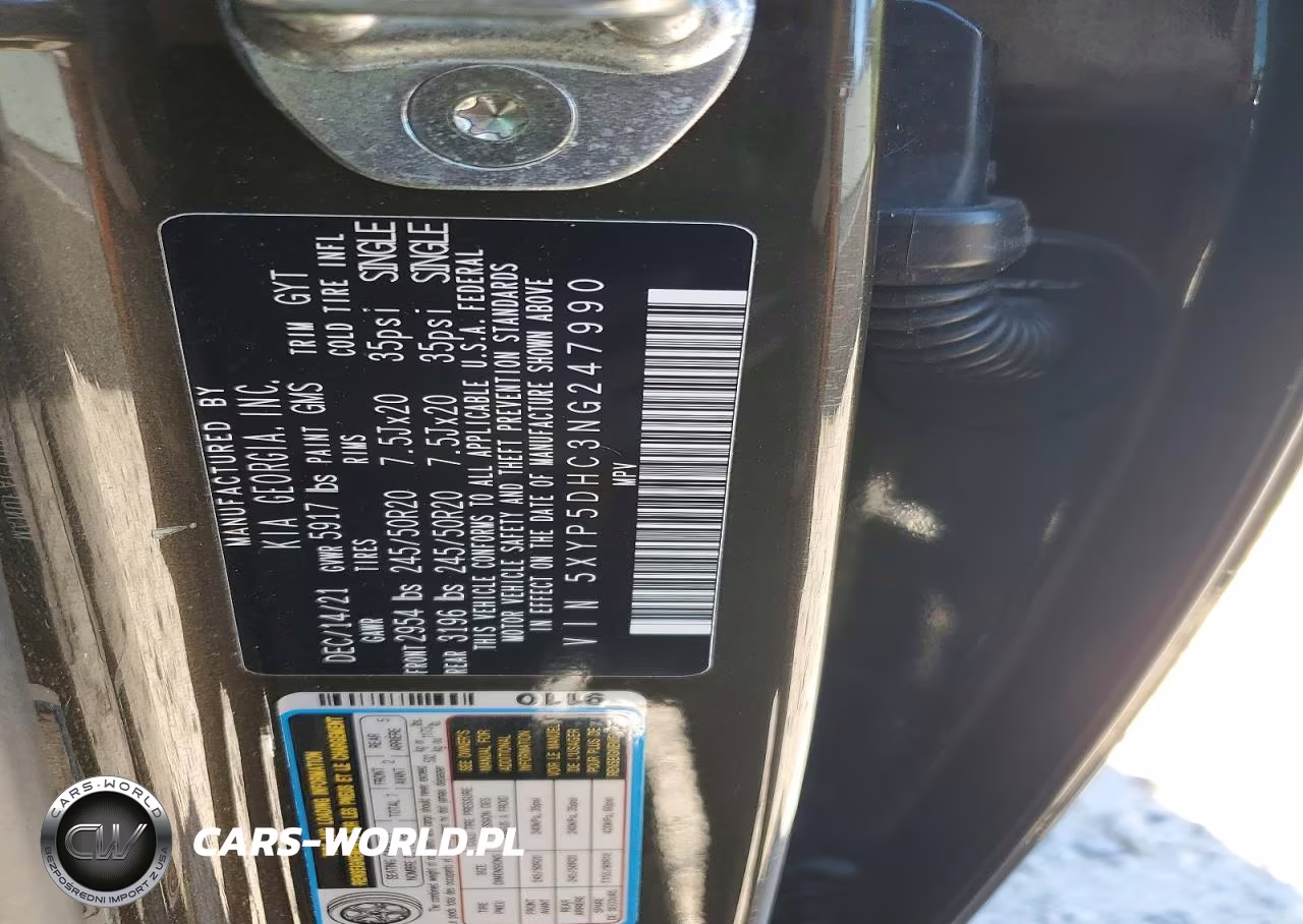 2022 Kia Telluride Sx VIN:5XYP5DHC3NG247990 - 13