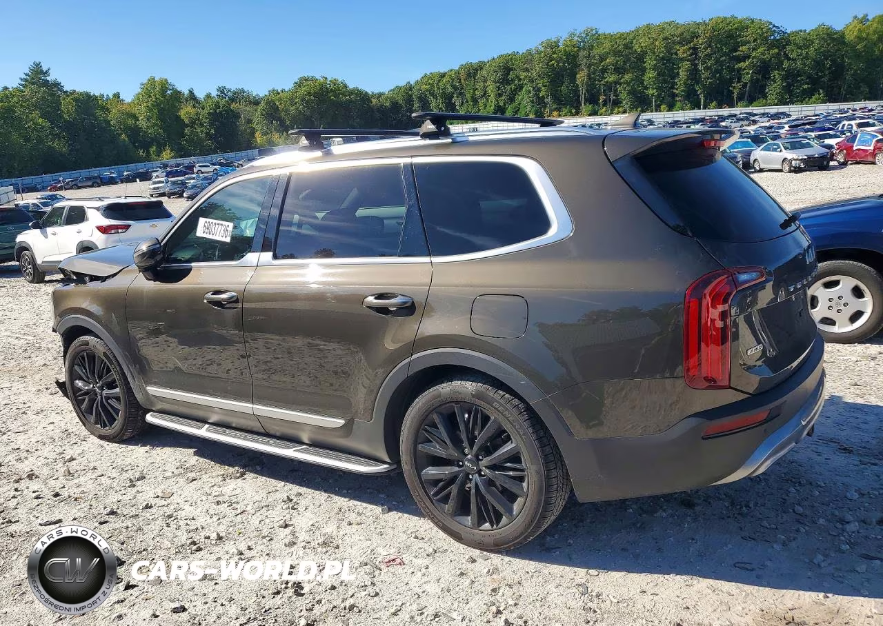 2022 Kia Telluride Sx VIN:5XYP5DHC3NG247990 - 2