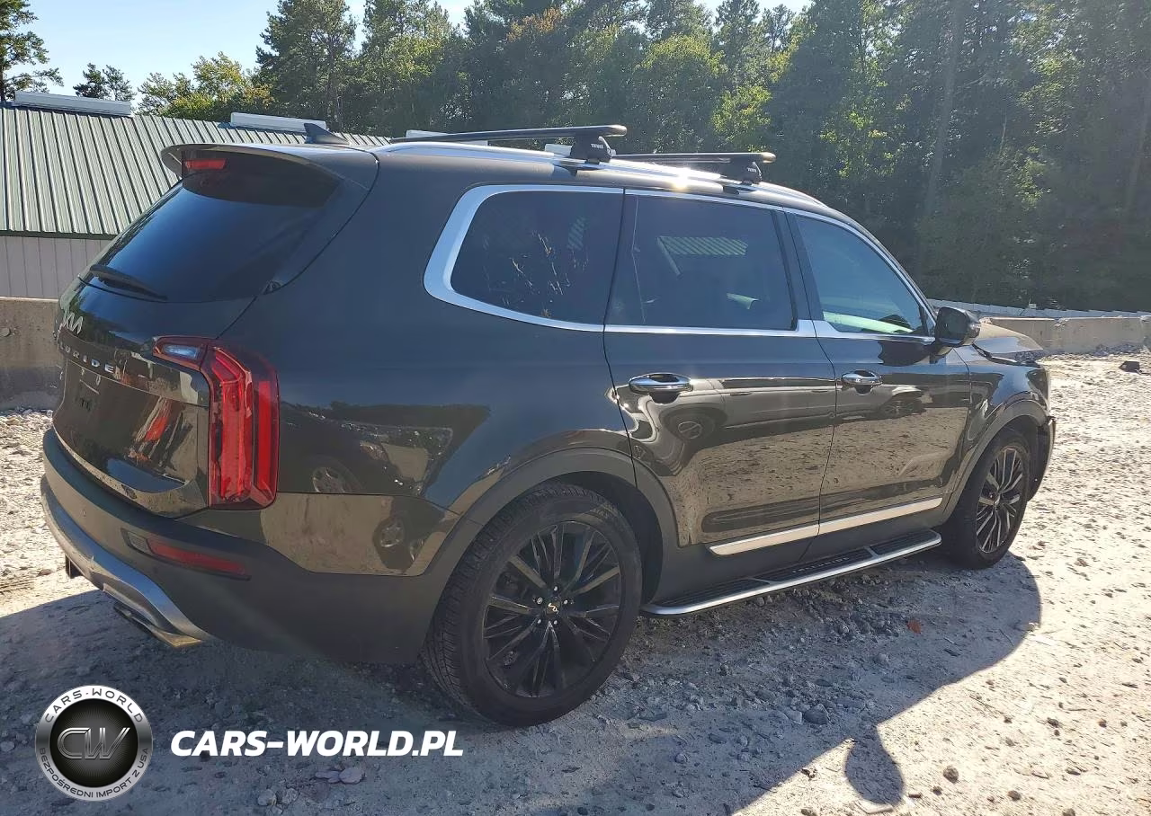 2022 Kia Telluride Sx VIN:5XYP5DHC3NG247990 - 3
