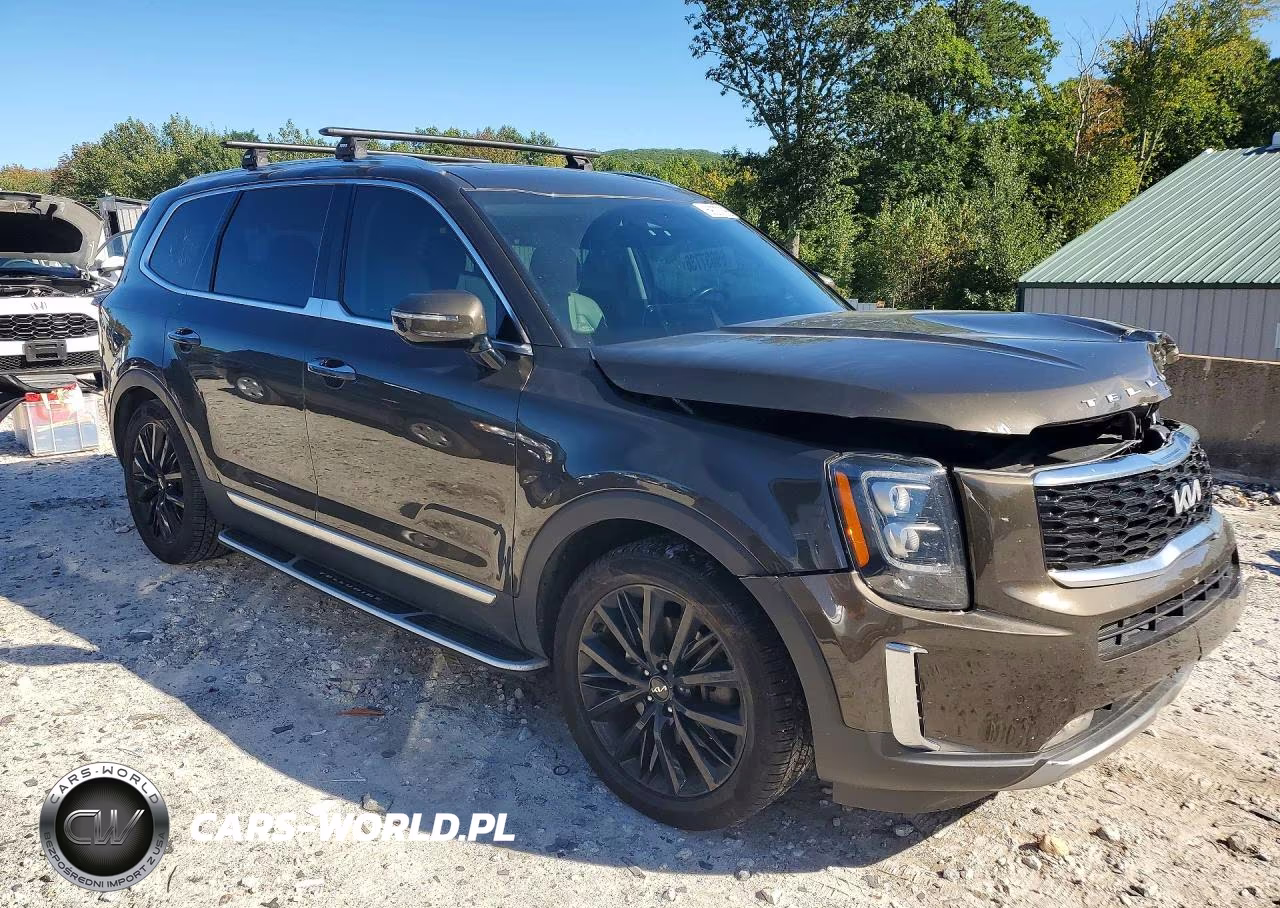 2022 Kia Telluride Sx VIN:5XYP5DHC3NG247990 - 4