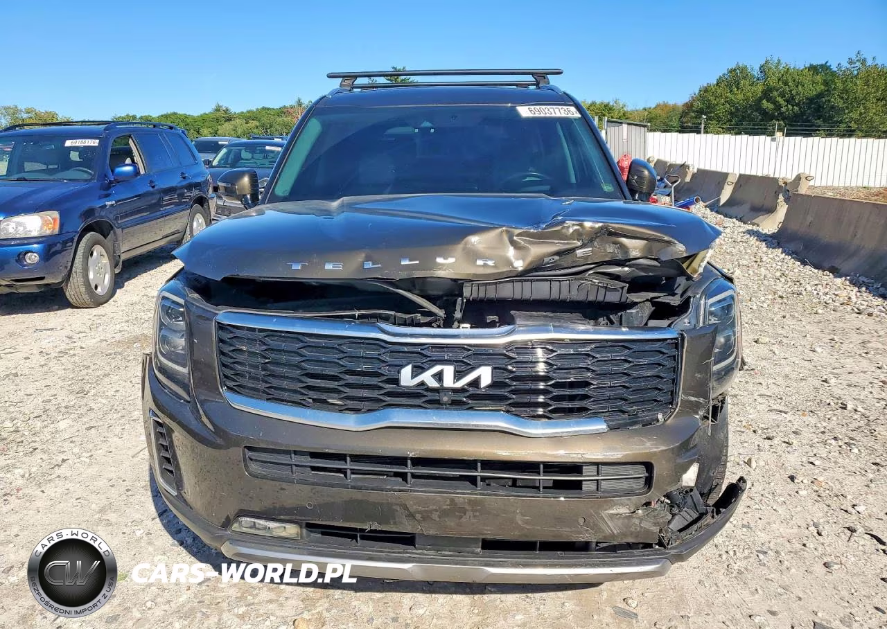 2022 Kia Telluride Sx VIN:5XYP5DHC3NG247990 - 5