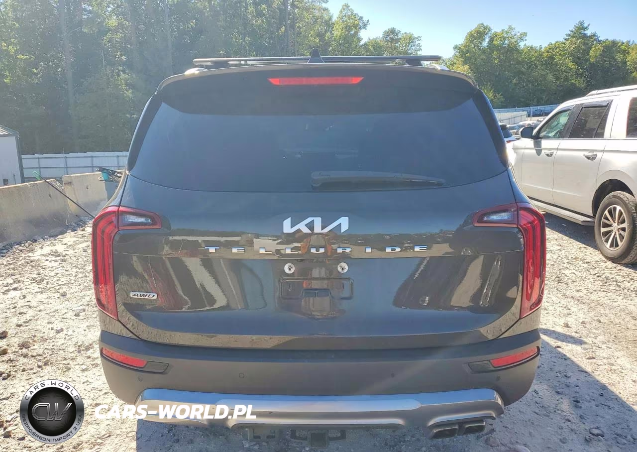 2022 Kia Telluride Sx VIN:5XYP5DHC3NG247990 - 6