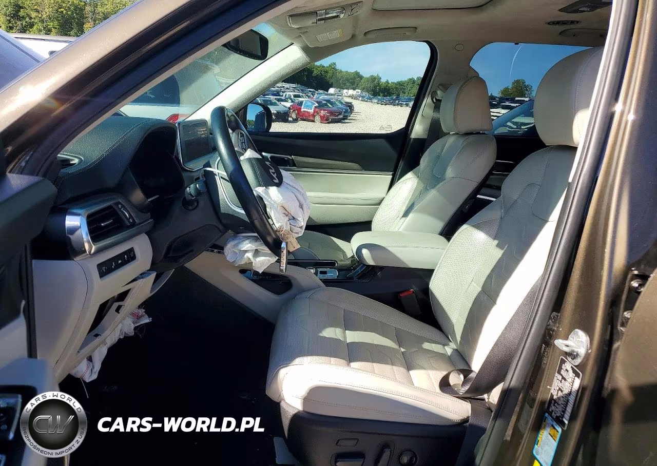 2022 Kia Telluride Sx VIN:5XYP5DHC3NG247990 - 7