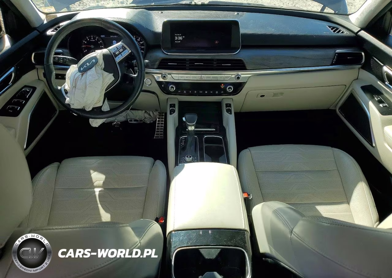 2022 Kia Telluride Sx VIN:5XYP5DHC3NG247990 - 8