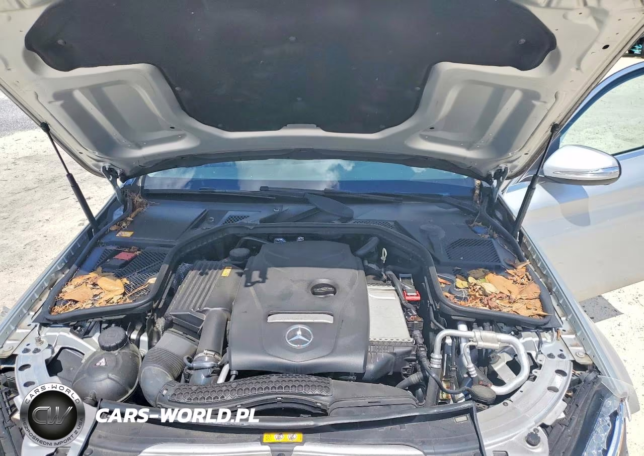 2015 Mercedes-Benz C 300 4Matic VIN:55SWF4KB5FU021224 - 11