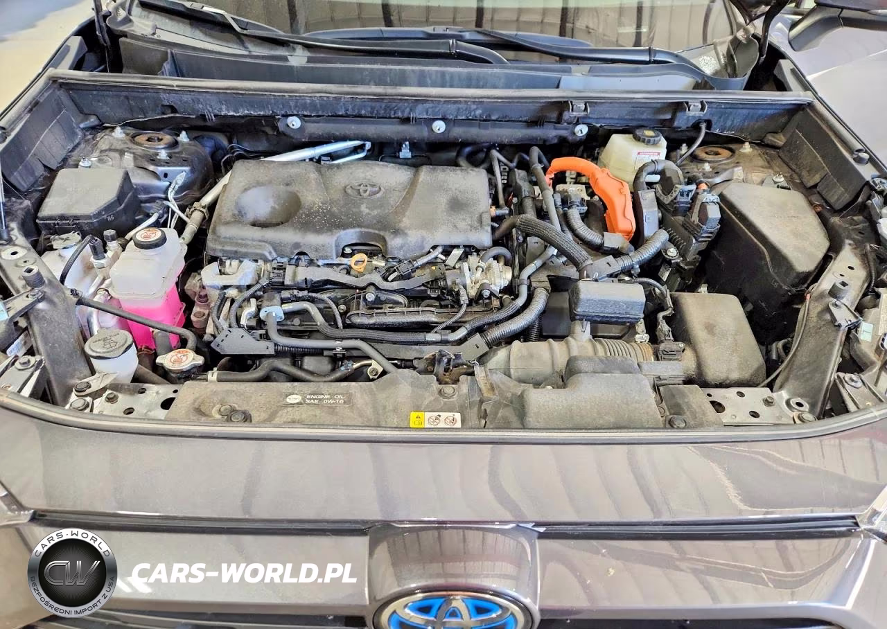 2024 Toyota Rav4 Hybrid Xle VIN:2T3RWRFV7RW216496 - 12