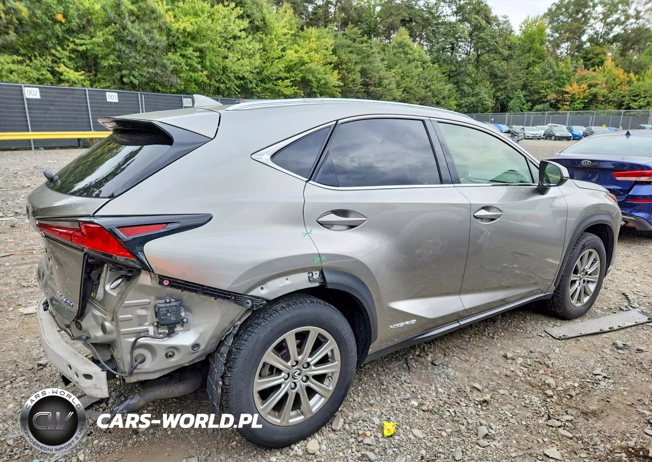 2018 Lexus Nx 300H VIN:JTJBJRBZXJ2089066 - 3