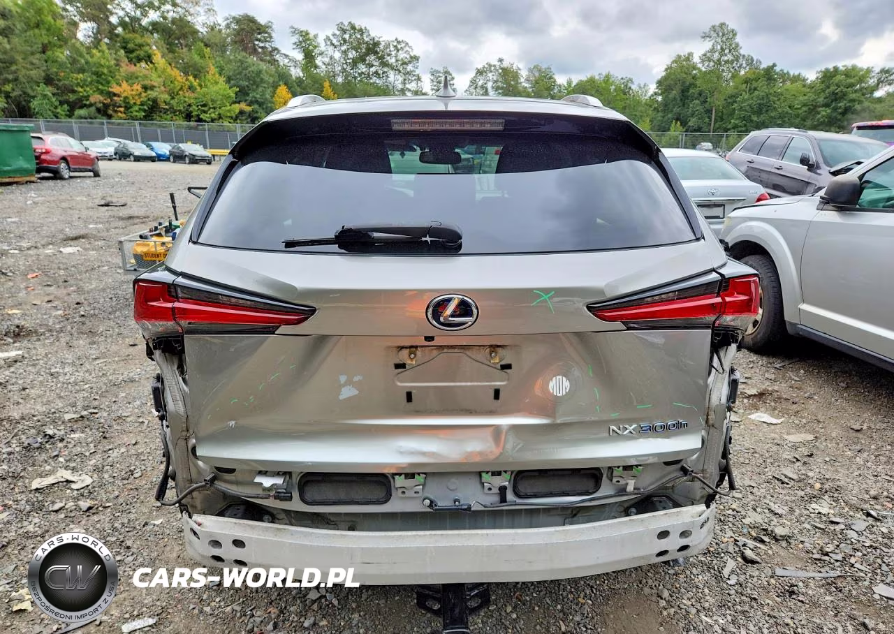 2018 Lexus Nx 300H VIN:JTJBJRBZXJ2089066 - 6