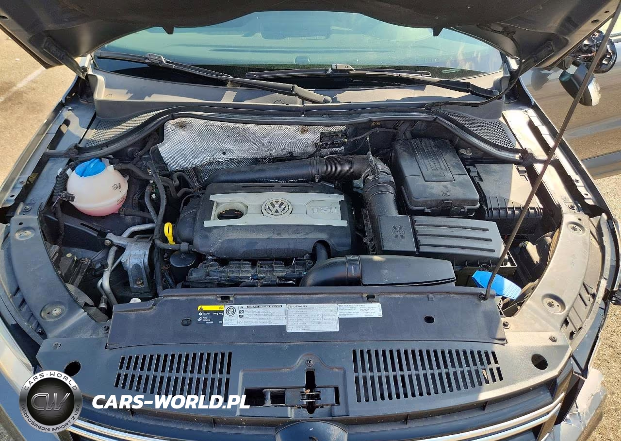 2013 Volkswagen Tiguan S VIN:WVGAV3AX2DW624108 - 12