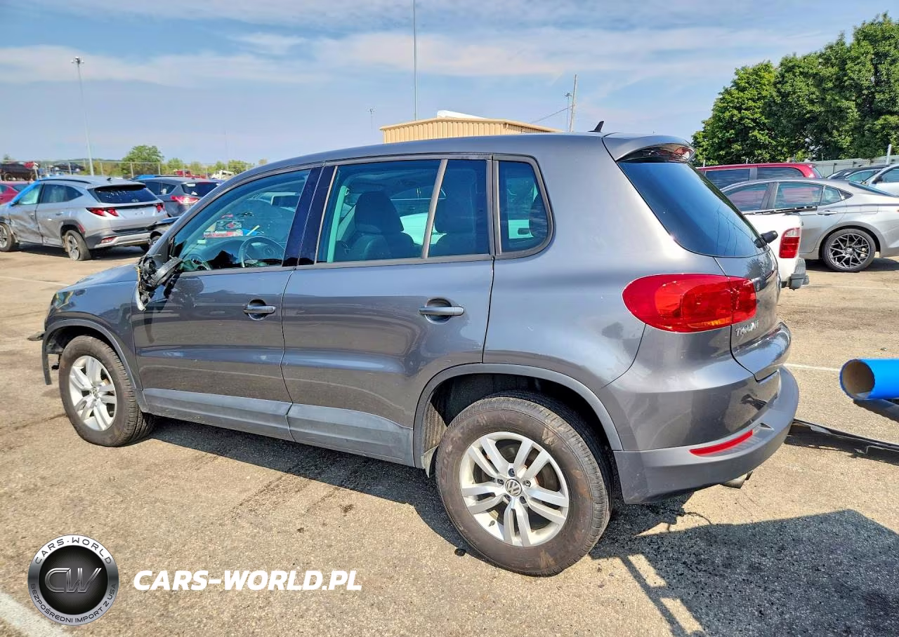 2013 Volkswagen Tiguan S VIN:WVGAV3AX2DW624108 - 2