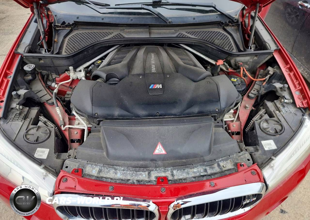 2017 BMW X6 M VIN:5YMKW8C52H0R43989 - 11