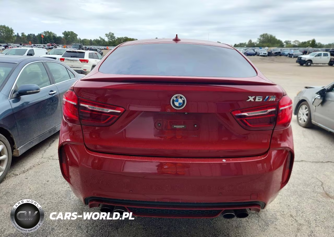 2017 BMW X6 M VIN:5YMKW8C52H0R43989 - 6