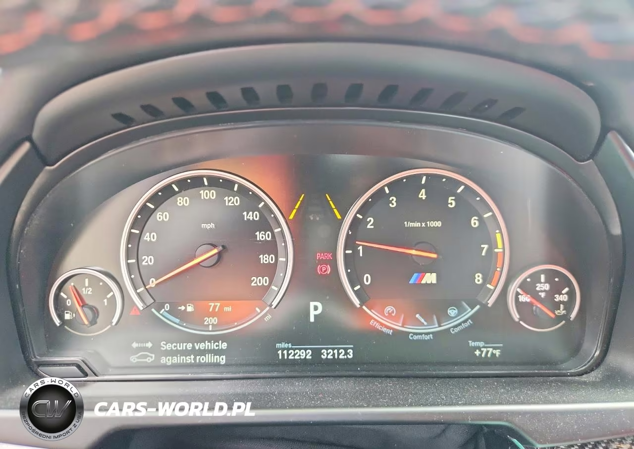 2017 BMW X6 M VIN:5YMKW8C52H0R43989 - 9