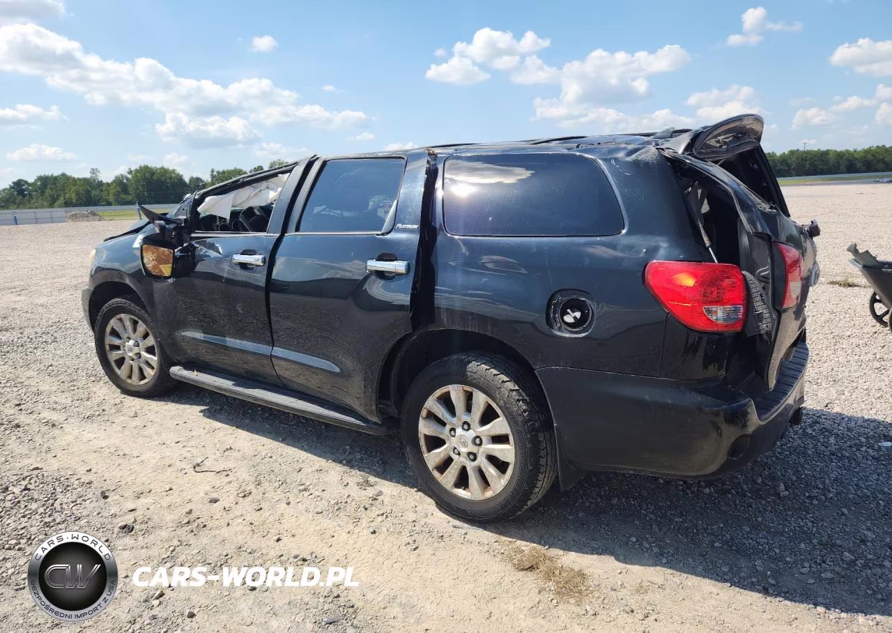2016 Toyota Sequoia Platinum VIN:5TDDW5G14GS135744 - 2