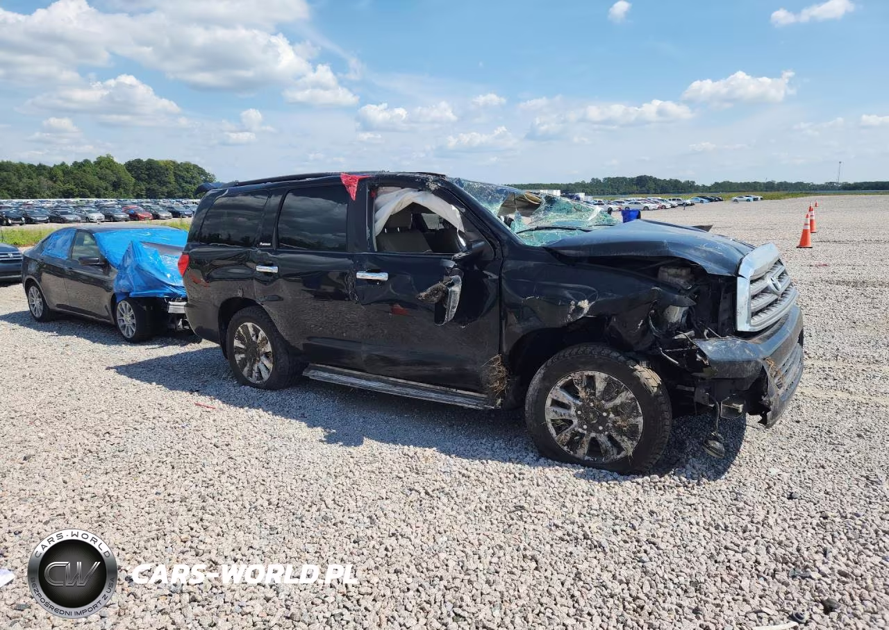 2016 Toyota Sequoia Platinum VIN:5TDDW5G14GS135744 - 4