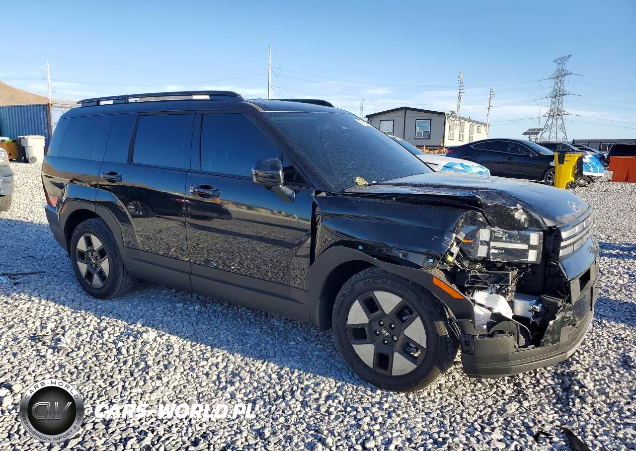 2025 Hyundai Santa Fe Sel VIN:5NMP24G12SH055096 - 4