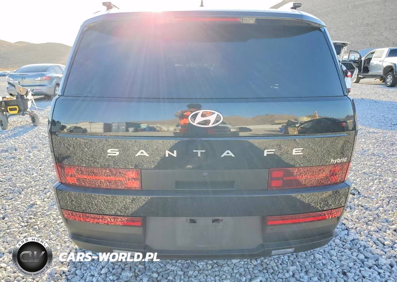 2025 Hyundai Santa Fe Sel VIN:5NMP24G12SH055096 - 6