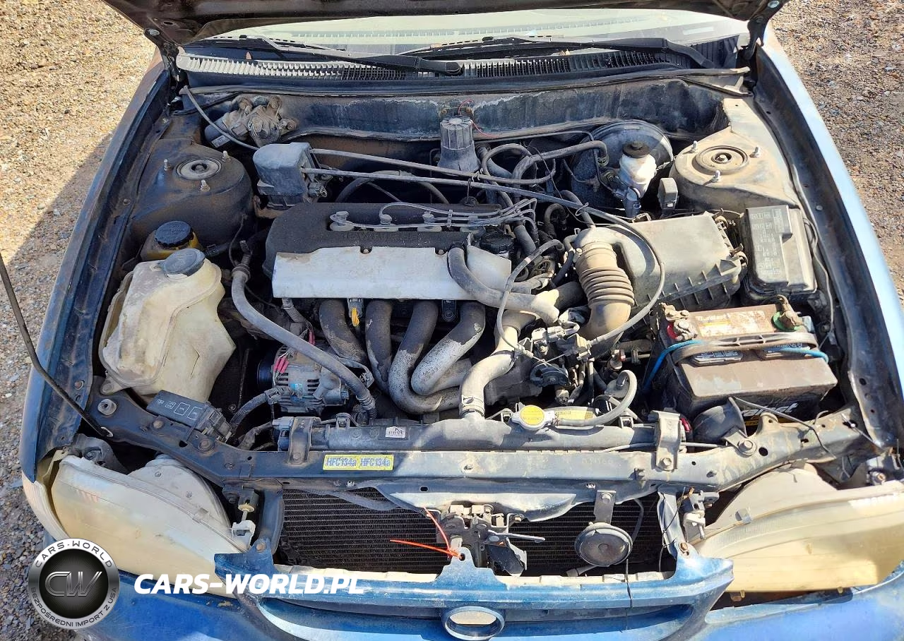 1998 Toyota Corolla Ve VIN:1NXBR12EXWZ005927 - 11
