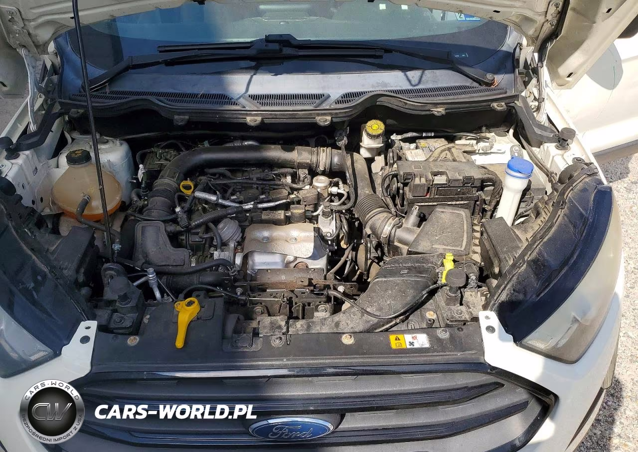 2018 Ford Ecosport S VIN:MAJ3P1RE4JC224309 - 11