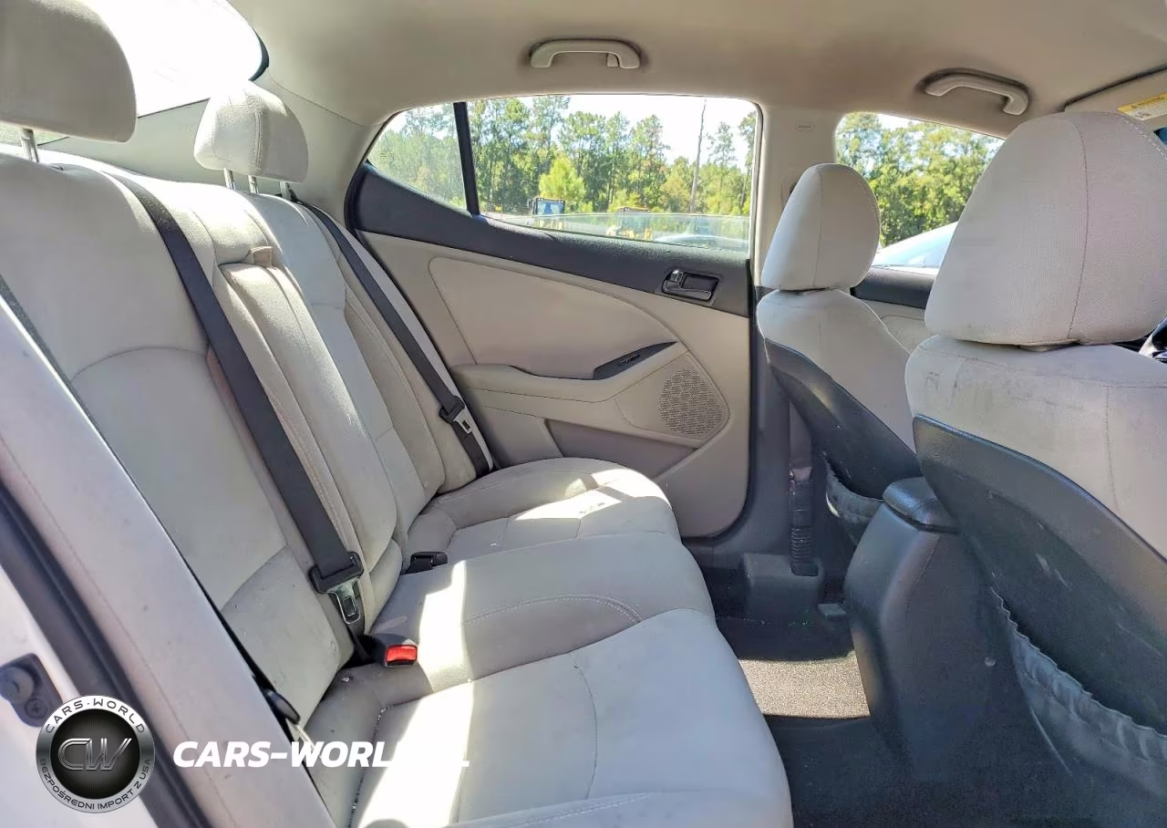 2014 Kia Optima Lx VIN:5XXGM4A73EG344272 - 10