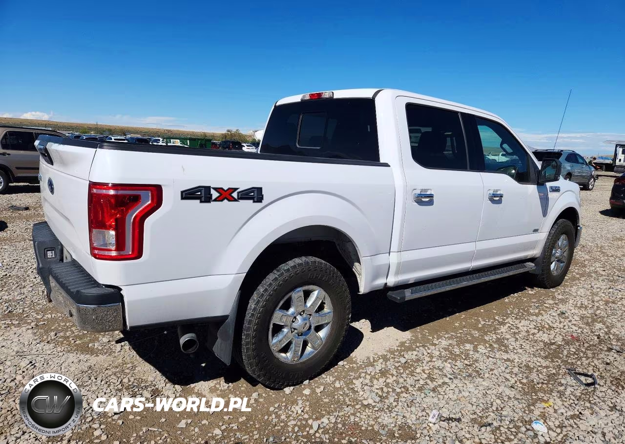 2017 Ford F150 Supercrew VIN:1FTEW1EP4HKC44220 - 3