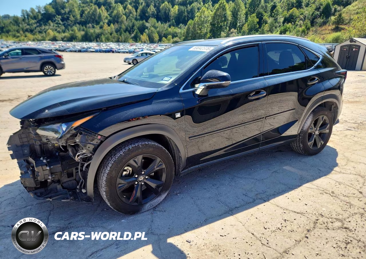 2019 Lexus Nx 300 F Sport VIN:JTJYARBZ9K2121002 - 1