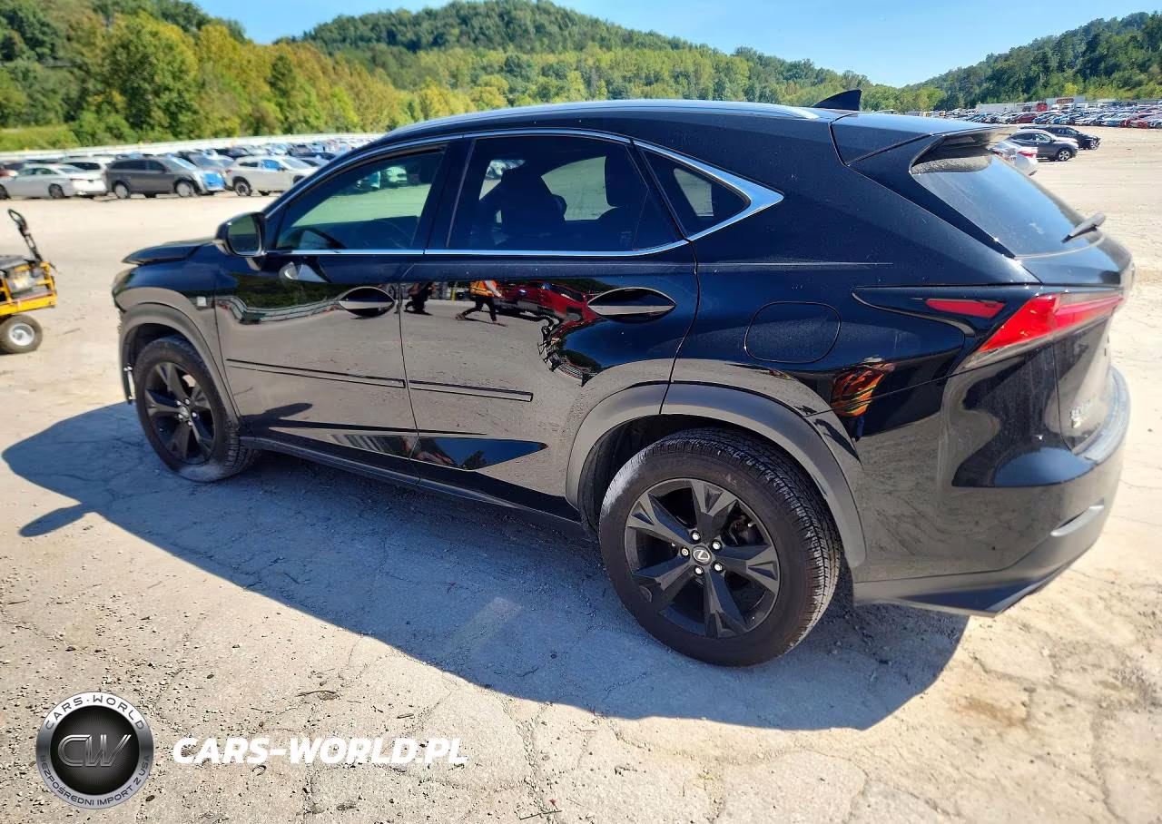 2019 Lexus Nx 300 F Sport VIN:JTJYARBZ9K2121002 - 2
