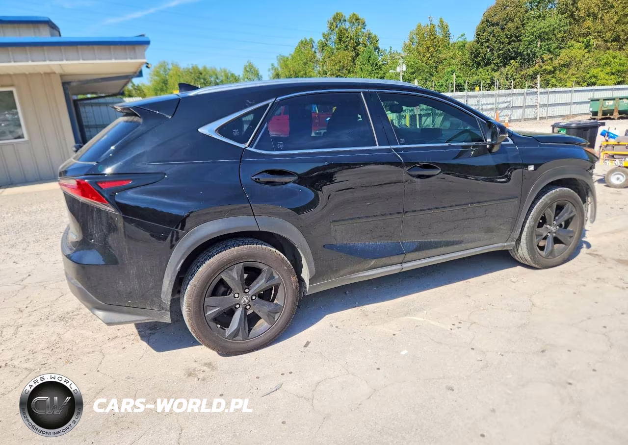2019 Lexus Nx 300 F Sport VIN:JTJYARBZ9K2121002 - 3