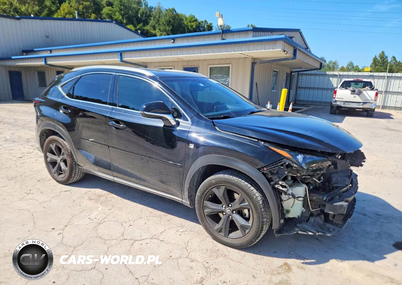 2019 Lexus Nx 300 F Sport VIN:JTJYARBZ9K2121002 - 4