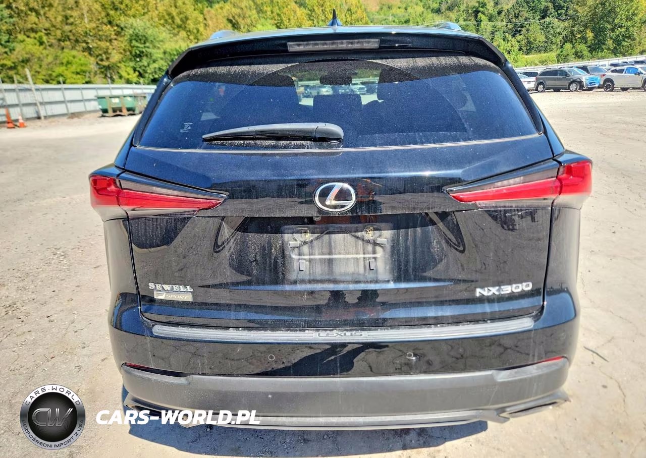 2019 Lexus Nx 300 F Sport VIN:JTJYARBZ9K2121002 - 6