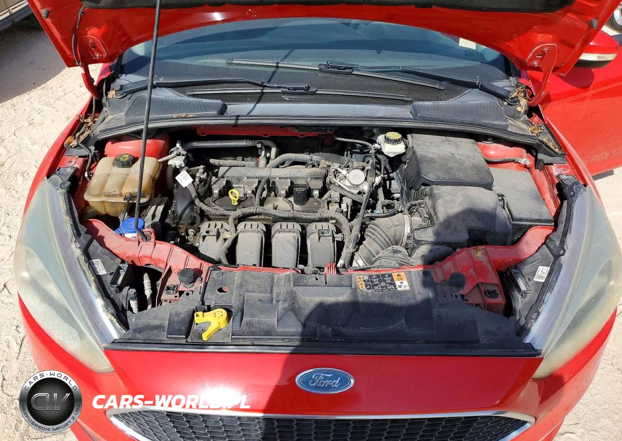 2017 Ford Focus Se VIN:1FADP3F26HL244744 - 11