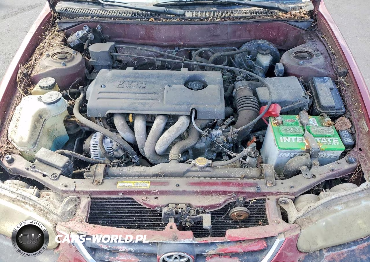 2001 Toyota Corolla Le VIN:1NXBR12E81Z542935 - 11