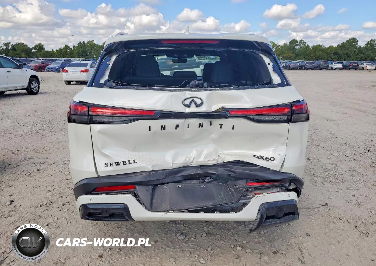 2025 Infiniti Qx60 Luxe VIN:5N1AL1FR7SC351606 - 6