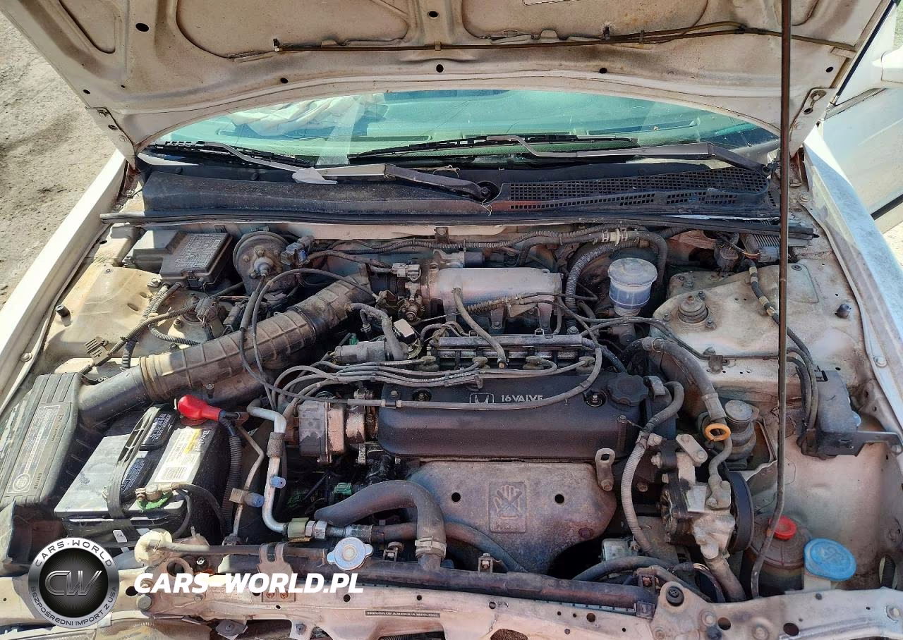 1994 Honda Accord Lx VIN:1HGCD5637RA163611 - 11