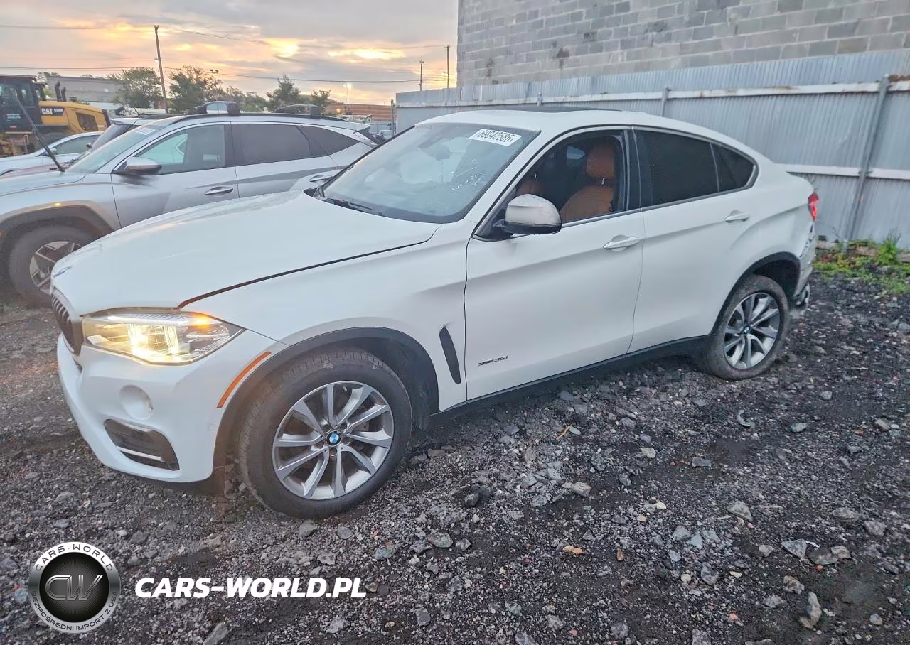 2019 BMW X6 xDrive35I VIN:5UXKU2C51K0Z63586 - 1