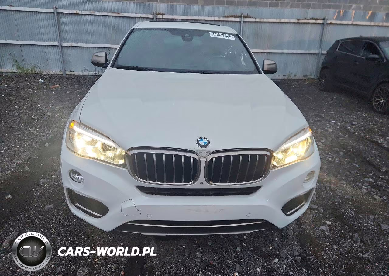 2019 BMW X6 xDrive35I VIN:5UXKU2C51K0Z63586 - 5