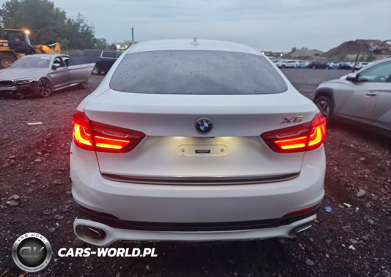 2019 BMW X6 xDrive35I VIN:5UXKU2C51K0Z63586 - 6