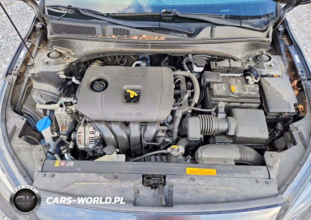 2021 Kia Forte Fe VIN:3KPF24AD9ME394138 - 11