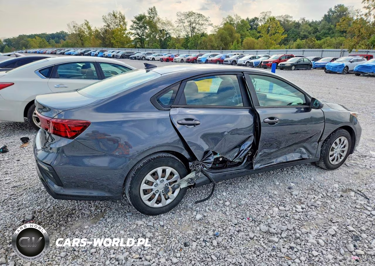 2021 Kia Forte Fe VIN:3KPF24AD9ME394138 - 3