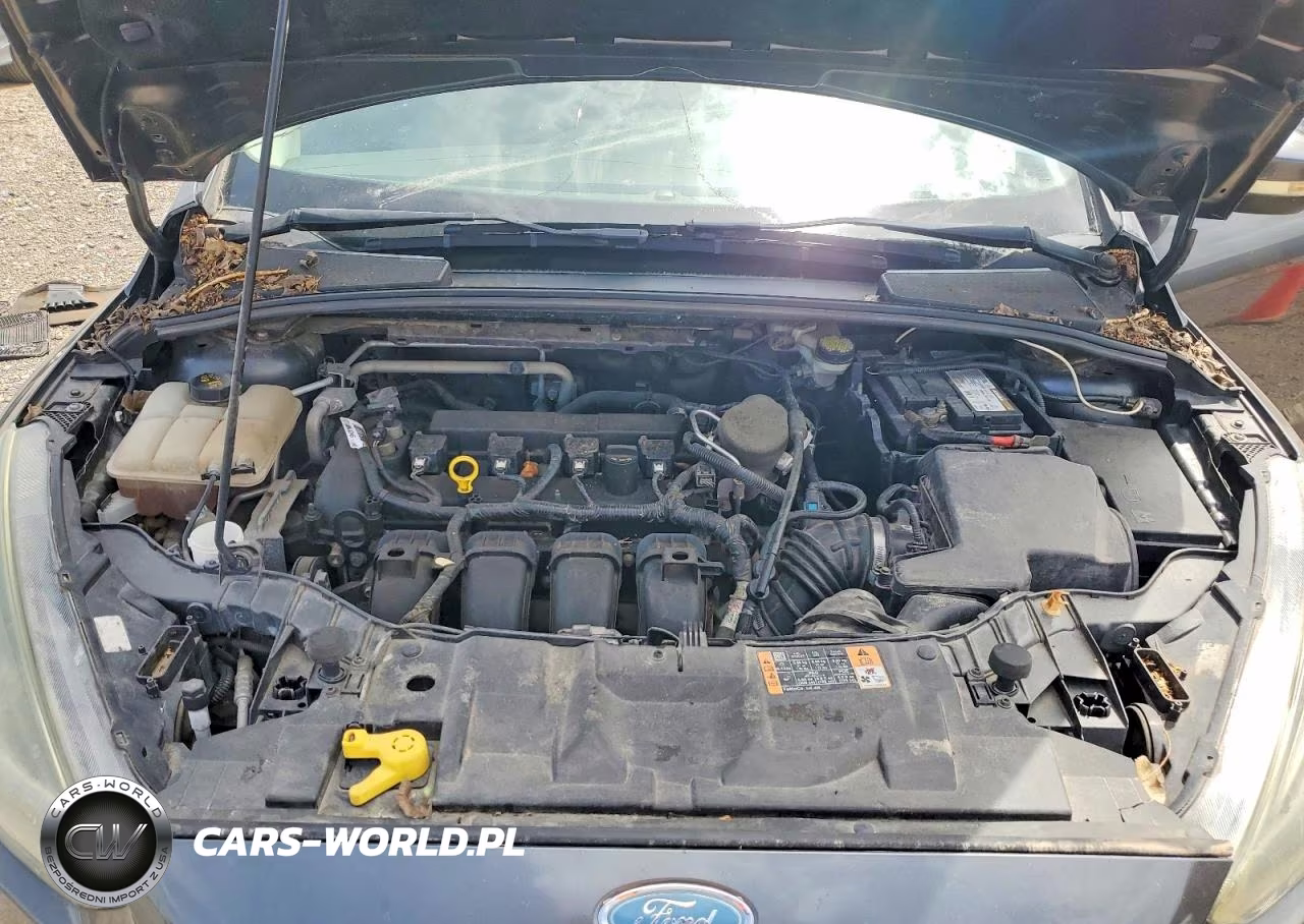2015 Ford Focus Se VIN:1FADP3F24FL274774 - 11