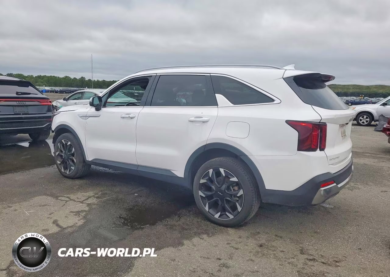 2025 Kia Sorento Ex VIN:5XYRHDJF7SG369820 - 2
