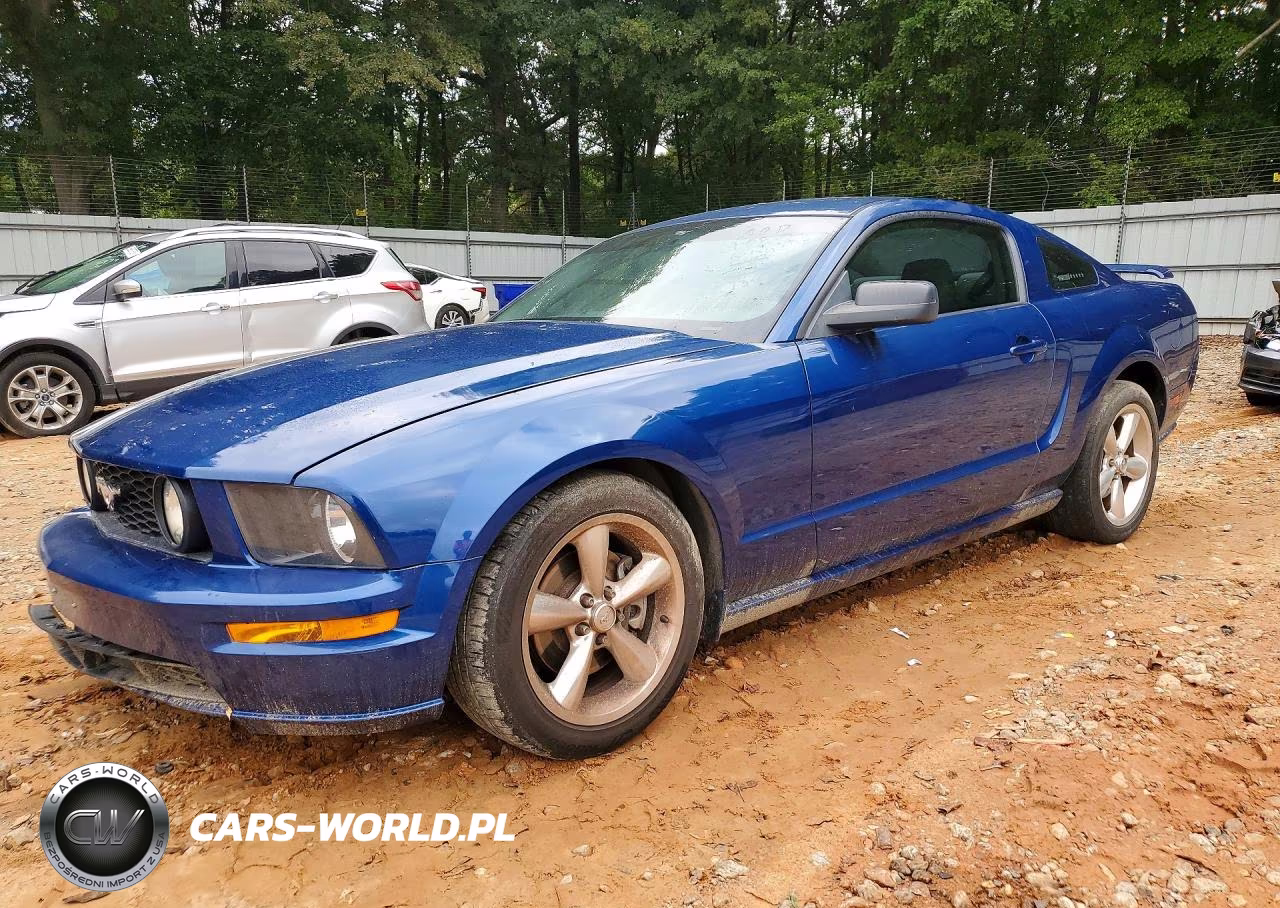 2009 Ford Mustang Gt VIN:1ZVHT82H495138276 - 1